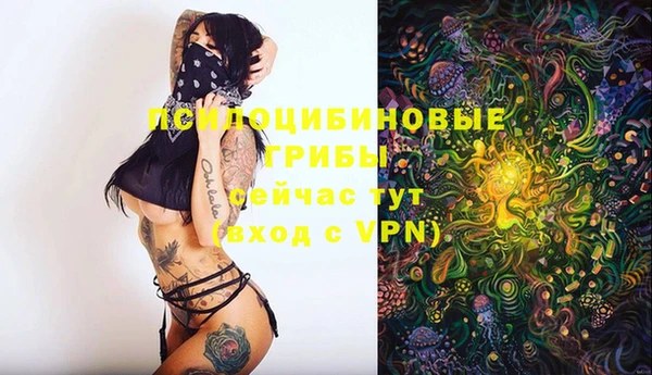 гашиш Вяземский