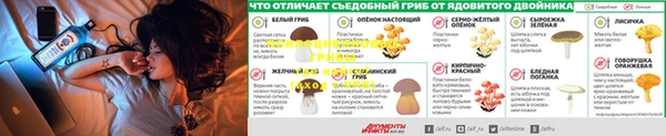 прущая мука Вязники