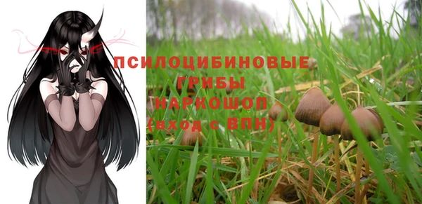 гашиш Вяземский