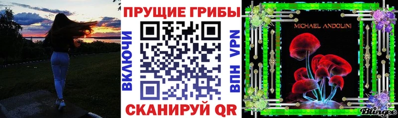 цены   Могоча  Псилоцибиновые грибы GOLDEN TEACHER 