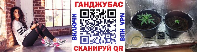 Канабис гибрид  Могоча 